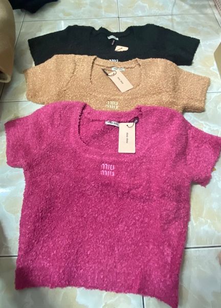 ANTN len Miu crop top