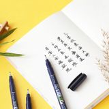 Tombow Fudenosuke Brush Pen