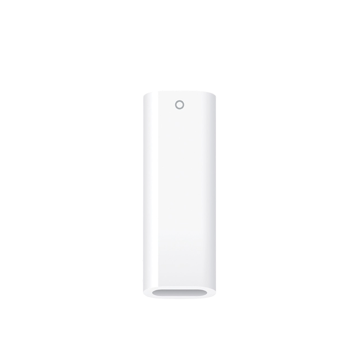 Bộ chuyển đổi Apple Adapter USB-C to Apple Pencil