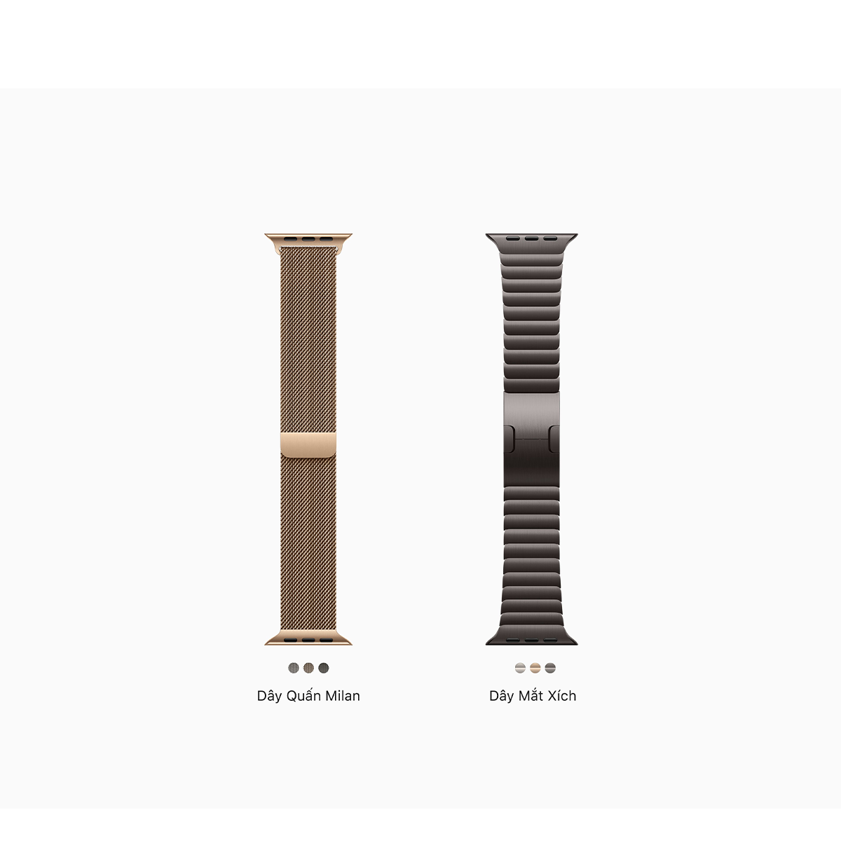 Apple Watch Series 10 Stainless Steel LTE