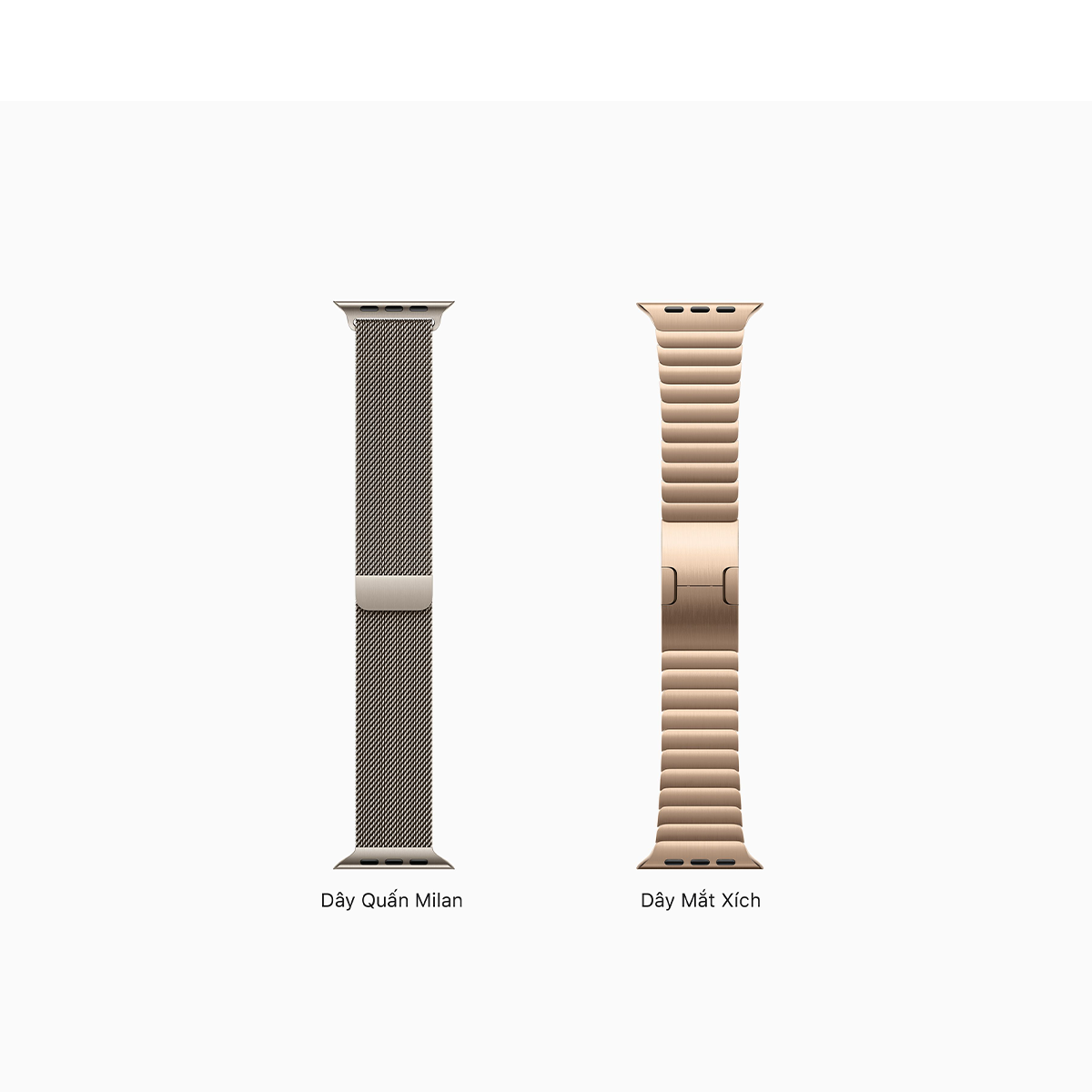 Apple Watch Series 10 Stainless Steel LTE
