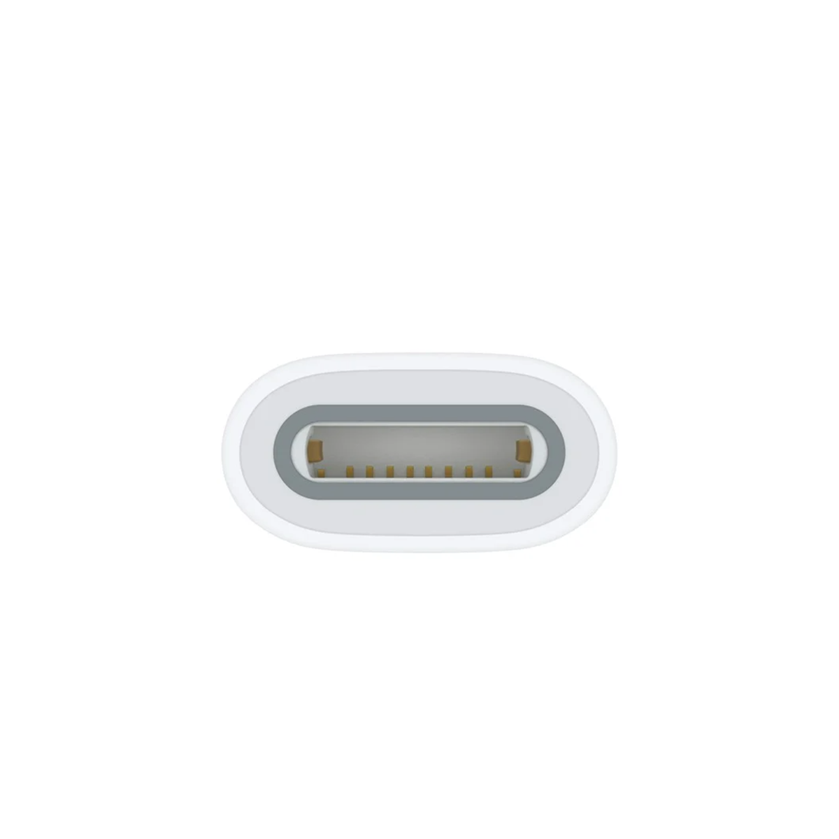 Bộ chuyển đổi Apple Adapter USB-C to Apple Pencil