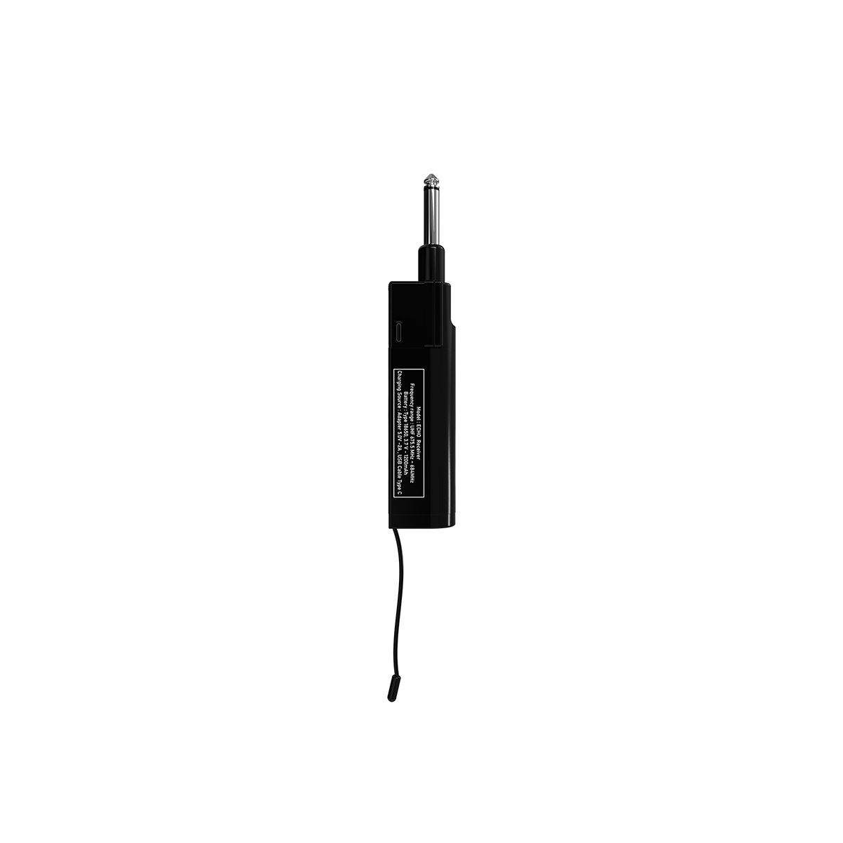 Micro PASION ECHO
