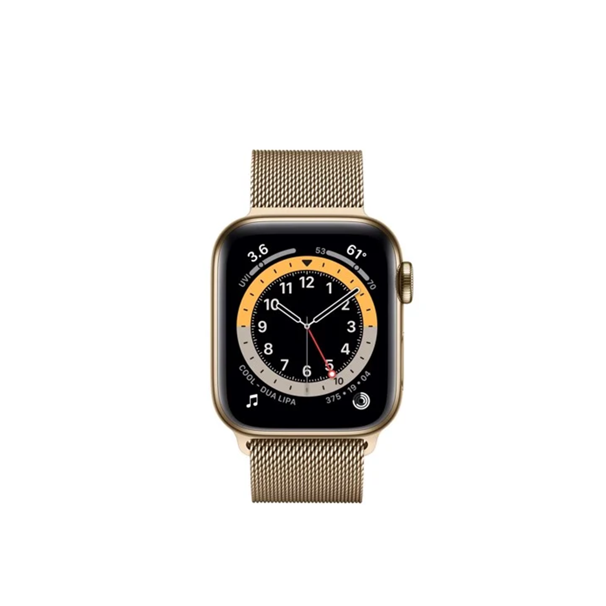  Apple Watch Series 6 Stainless Steel 