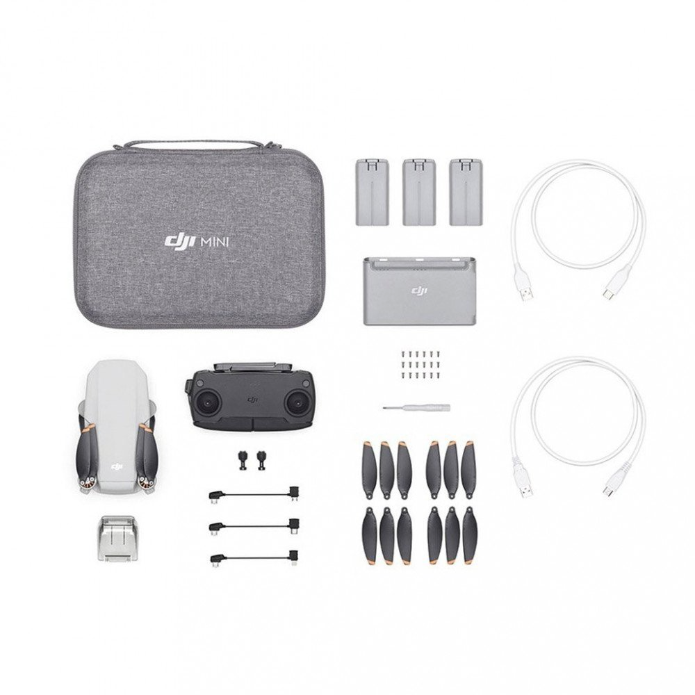 Flycam DJI Mini SE