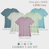  COMBO 5 ÁO NỮ - COTTON THOÁT NHIỆT SIÊU MÁT, SIÊU NHẸ - Xanh Đá, Bơ Sữa, Hồng Sakura, Cốm Sữa, Ngọc Lam 