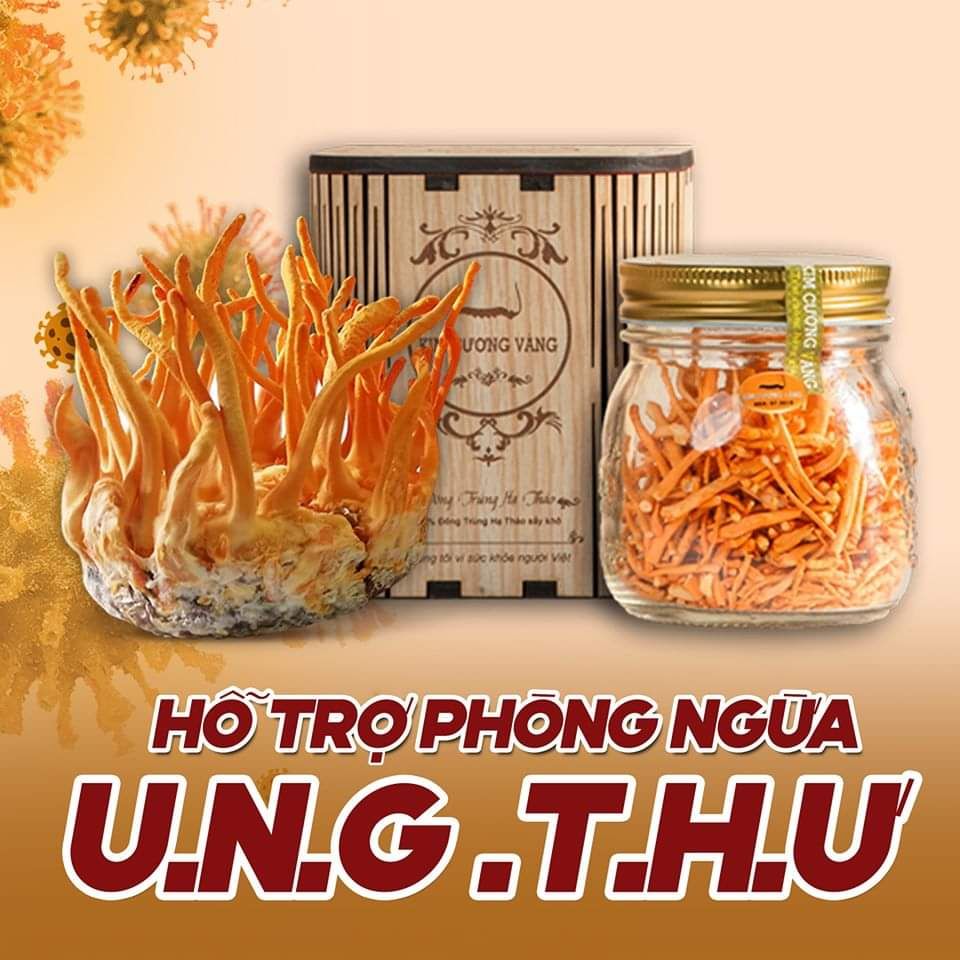 NẤM Đông Trùng Tươi - Kim Cương Vàng ( 110 Gram/Hộp )