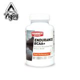 HAMMER ENDURANCE BCAA+