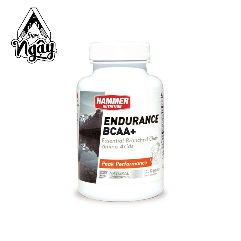 HAMMER ENDURANCE BCAA+
