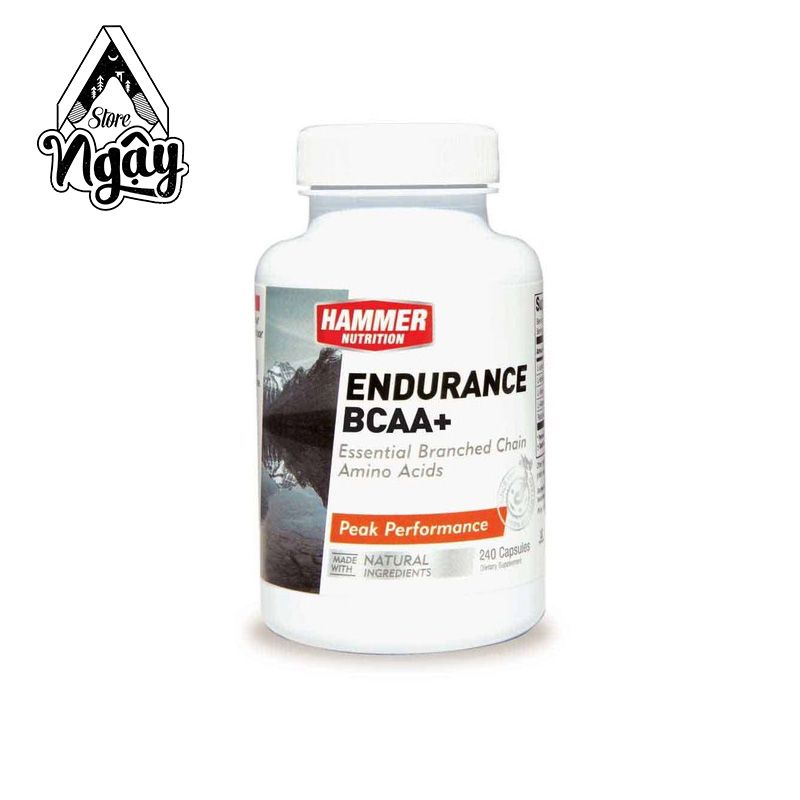 HAMMER ENDURANCE BCAA+