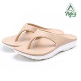 YSANDAL RECOVERY QQ