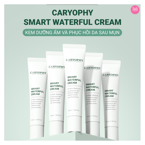 Kem Dưỡng Ẩm Phục Hồi Da & Ngừa Mụn Caryophy Smart Waterful Cream 40ml