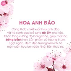 Dầu Gội Cấp Ẩm Cho Tóc OGX Heavenly Hydration + Cherry Blossom Shampoo 385ml