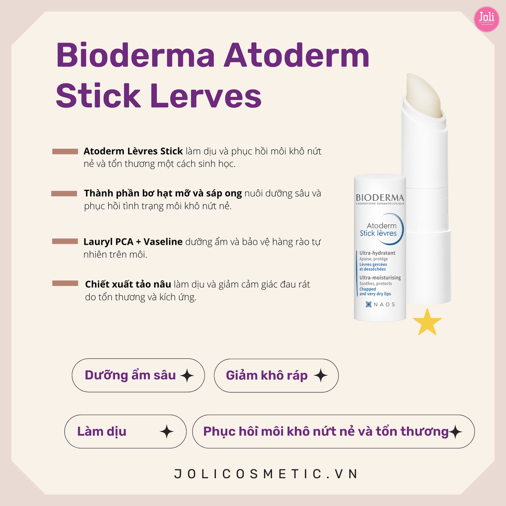 Son Dưỡng Dạng Sáp Làm Dịu Môi Khô Giảm Nứt Nẻ Bioderma Atoderm Stick Levres 4g