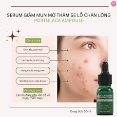 Serum Caryophy Giảm Mụn Mờ Thâm Se Lỗ Chân Lông Portulaca Ampoule 10ml