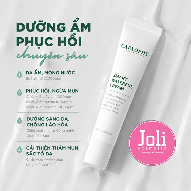 Kem Dưỡng Ẩm Phục Hồi Da & Ngừa Mụn Caryophy Smart Waterful Cream 40ml