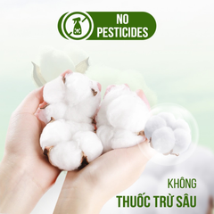 Bông Tẩy Trang Ceiba Tree 100% Cotton 234 Miếng