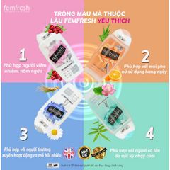 Dung Dịch Vệ Sinh Phụ Nữ Femfresh Wash 250ml