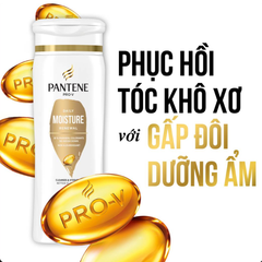 Dầu Gội & Xả Pantene Pro-V 2in1 Shampoo + Conditioner 355ml