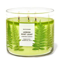 Nến Thơm Bath Body Works Aromatherapy Scented Candle 411g