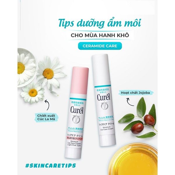 Son Dưỡng Môi Cấp Ẩm Chuyên Sâu Có Màu Curel Light Pink Intensive Moisture Care Moisture Lip Care Cream 4.2g