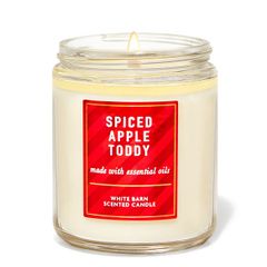 Nến Thơm Bath Body Works Aromatherapy Scented Candle 411g