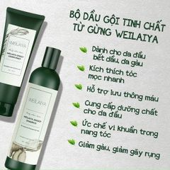 Bộ Dầu Gội & Xã Gừng Xanh Dành Cho Tóc Dầu Và Bết Weilaiya Hair Strength