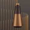 Loa Bang & Olufsen Beosound 2 Gen màu đồng