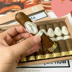 Xì gà Davidoff Short Rubusto