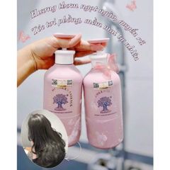 Cặp dầu gội xả Biotin Essence