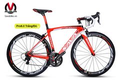 Xe đạp đua Carbon Sava PRO 6.0
