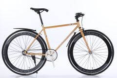 Xe đạp Fixed gear VICKY Crazy