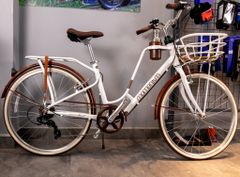 Xe đạp đường phố Momentum 2021 Ineed Latte ( rổ sắt)
