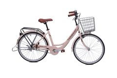 Xe đạp mini Thống Nhất LD 24-01 2023