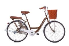 Xe đạp mini Thống Nhất New 24