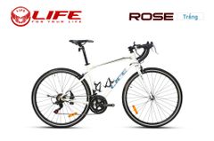 Xe đạp đua LIFE ROSE