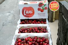 Cherry Lani New Zealand Premium size 30_32mm - hộp 500gr