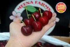 Cherry đỏ Mỹ size 9.5 - hộp 500gr