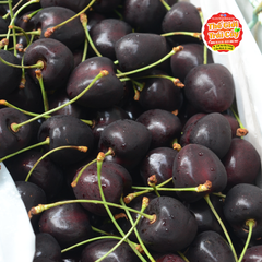 Cherry NewZealand Satria Orchard size 28_30 - hộp 500gr