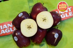 Táo đỏ 5 góc Red Delicious Mỹ - kg