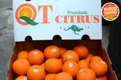 Quýt Úc QT Citrus - kg