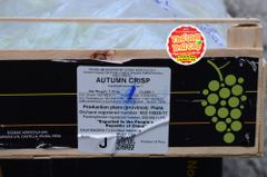Nho xanh Autumn Crips Peru size 3JJJ - hộp 500gr