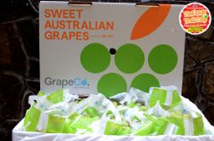 Nho xanh Úc GrapeCo AutumnCrisp- hộp 500gr