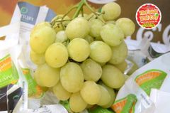 Nho xanh FruitiCo Úc (hàng Air) - hộp 500gr