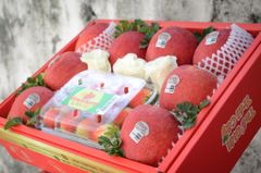 Hộp quà trái cây MS02 - hộp