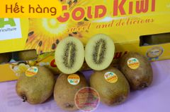 Kiwi vàng SunGold Chile - kg