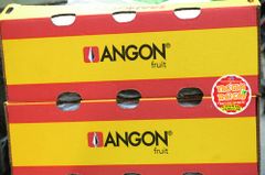 Nho xanh Nam phi AutumnCrips Angon (hàng Air) - hộp 500gr