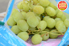 Nho xanh Nam phi SweetGlobe Raisins (hàng Air) - hộp 500gr