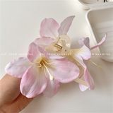 Kẹp càng cua hoa loa kèn