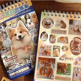 Sổ Sticker PET cưng Telado 30 trang
